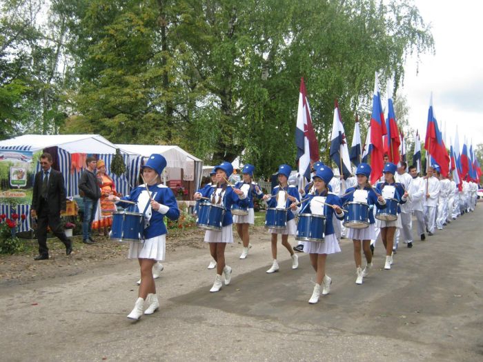 Проведение празднования Дня города,  посвящённый 88-летию образования Темниковского района и 480-летию основания города
